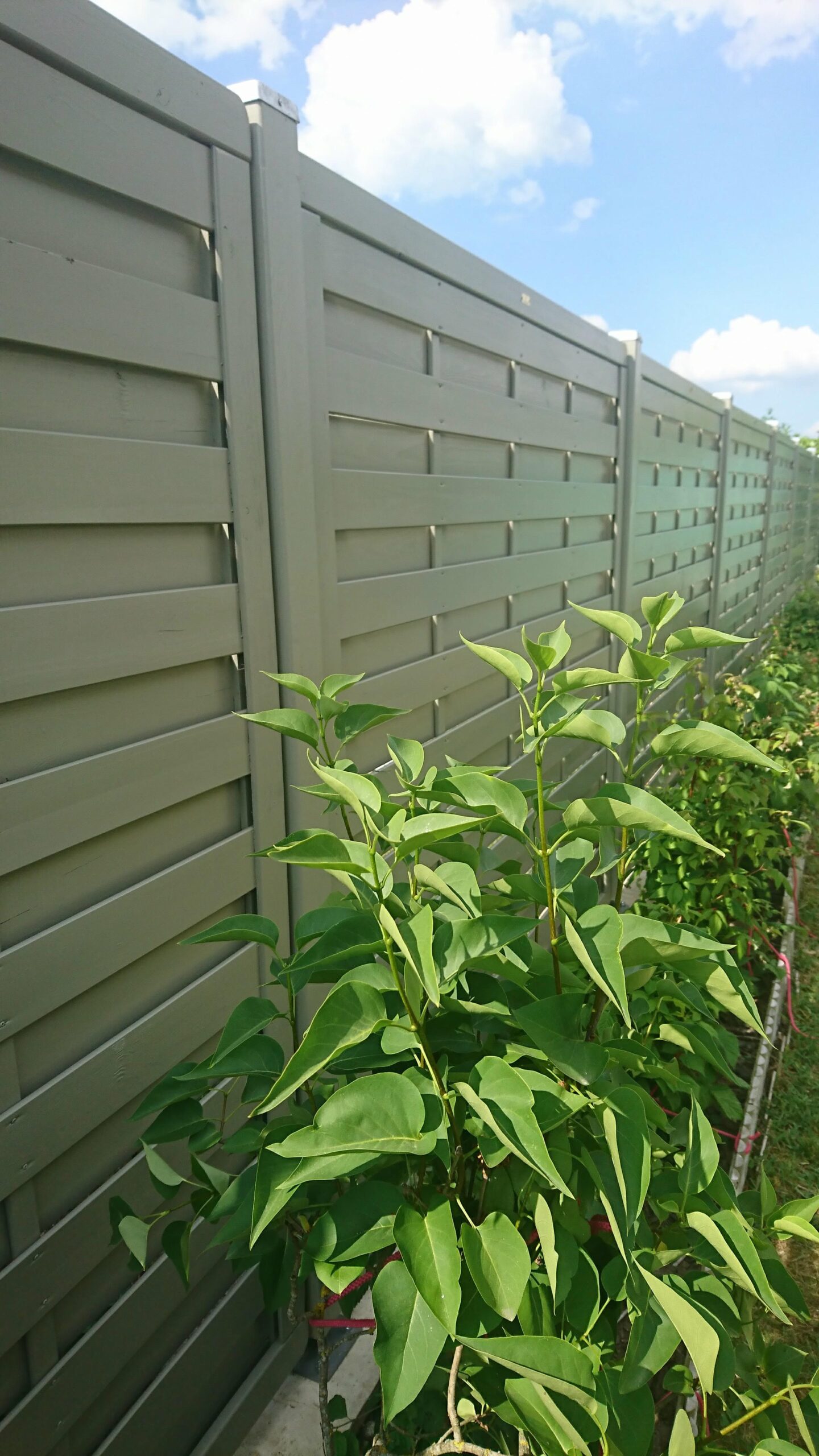Pergola en bois autoportanteà la Roche Posay redim