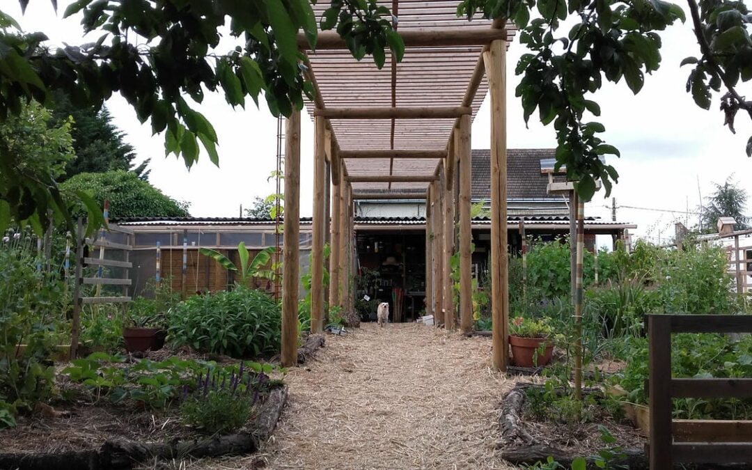 Pergola en rondins pour cheminement ombragé à Châtellerault